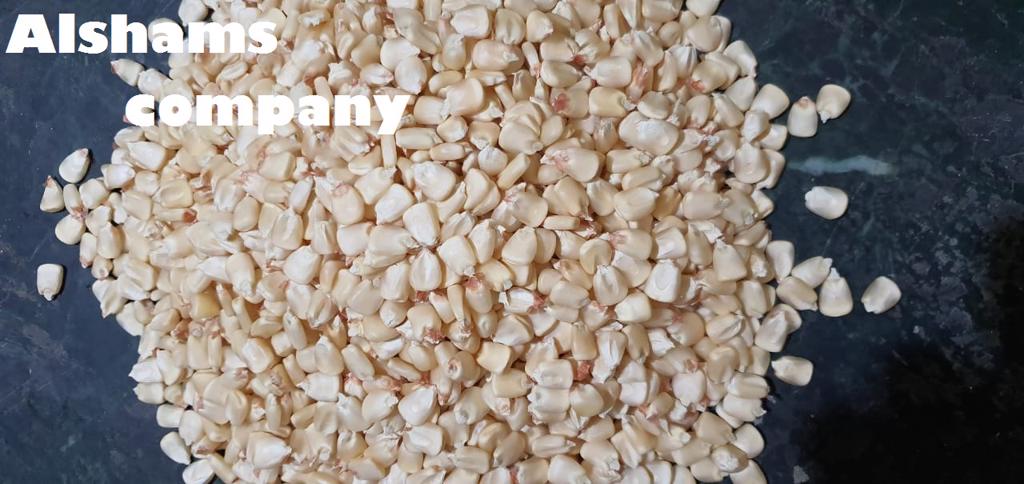 Product image - We would like to offer our White & yellow corn
Origin: Egypt📷
• 12:14: Humidity
• Class 1
40kg pp bags,
container 20ft dry contain 24:25 tons.
Company Name : Alshams company for general import and export
Location : Egypt, el gharpia , kafer elzayat
Contact us :
mrs-donia mostafa
sales dep
Email: alshams.info@yahoo.com
Whatsapp: +201016785541
